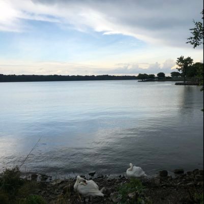 PoliticHamilton's profile picture. Here’s what’s going on