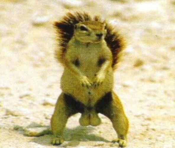 Kenny_Hanworth's profile picture. 