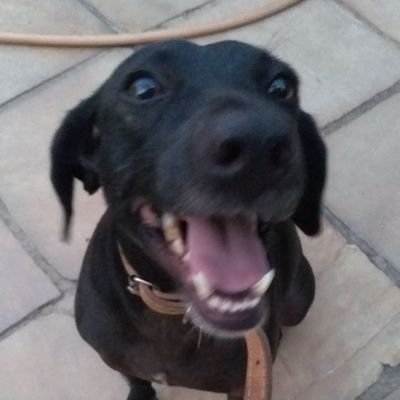 oce_an_'s profile picture. RJ