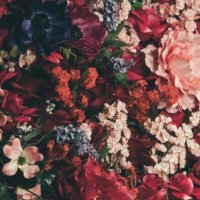 سوم (@soom_asirii) 's Twitter Profile