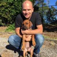 Robert Thomas (@rtnewcastle) 's Twitter Profile