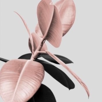 just_reading_13's profile picture. 🍉