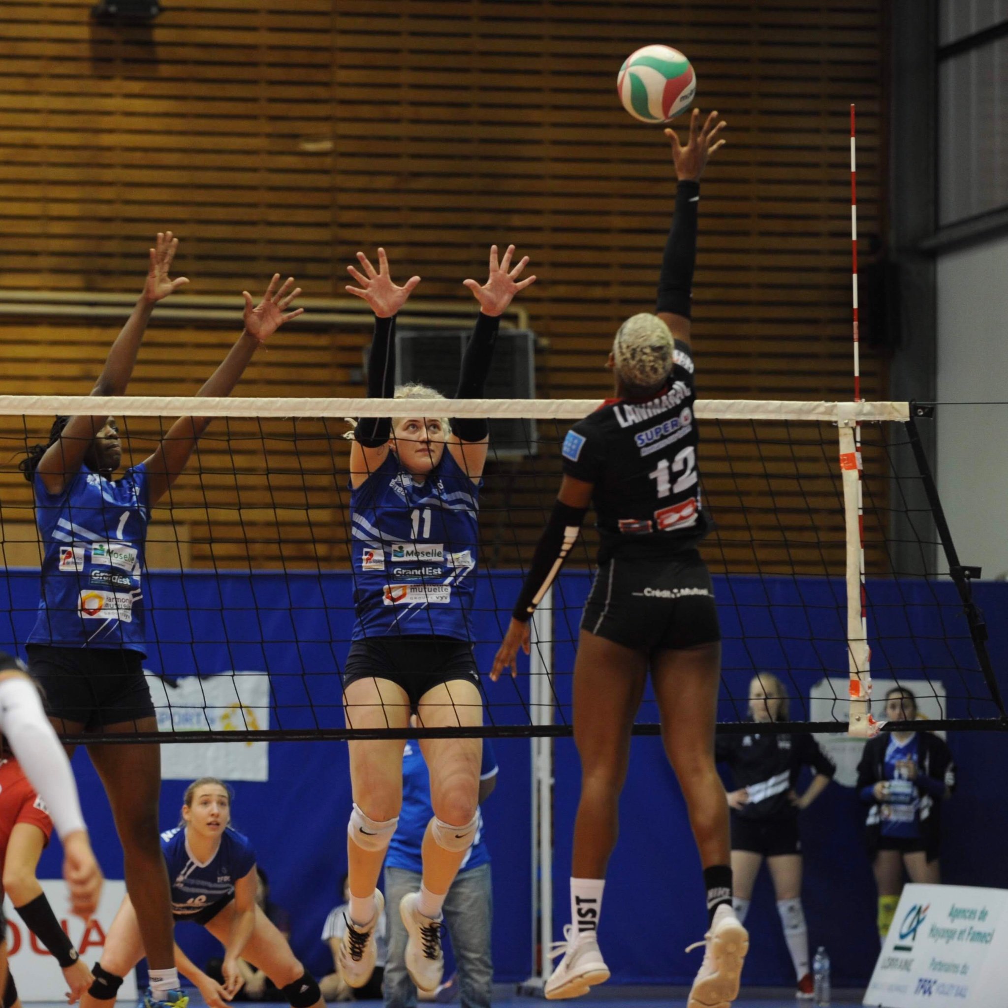 VolleyBall Player🏐
On est plusieurs dans ma tête mais c’est moi le chef 😇🤒😍