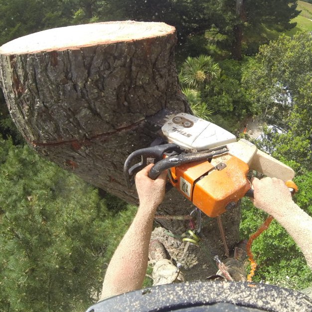 We are a tree surgery company covering all of Cornwall, with over 30 years experience in the industry we can help with your trees in anyway!