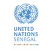 ONU Sénégal 🇺🇳 (@OnuSenegal) Twitter profile photo