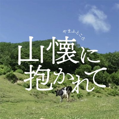 映画「山懐に抱かれて」公式アカウント/岩手県下閉伊郡田野畑村。限りなく自然に近い環境で牛を育てる酪農大家族の24年を地元・テレビ岩手（日本テレビ系）が岩手の自然を背景に丹念に追いました。ナレーション：室井滋 /テレビ岩手開局50周年記念作品/■公開：2019年4/27（土）〜東京・ポレポレ東中野、5月〜岩手ほか全国順次