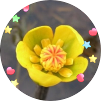 aotomato (@mtgts1hana) 's Twitter Profile Photo