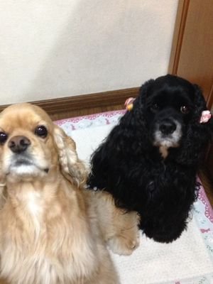 UPbCli2hfvbS9Nd's profile picture. 