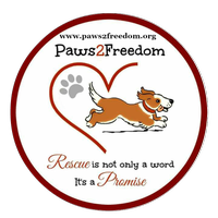 Paws2Freedom(@Paws2Freedom) 's Twitter Profile Photo