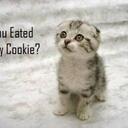 ingrid ellis - @ingyell - Twitter