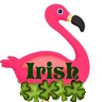 Irish Bird (@irishbird8) Twitter profile photo