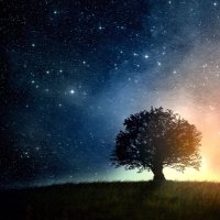 orkidmaa (@orkidmaa1) 's Twitter Profile