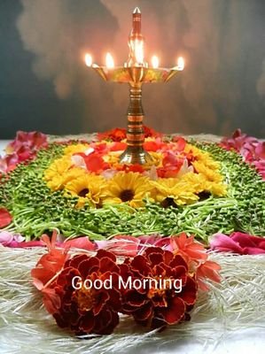 ParulKa18879108's profile picture. special educator