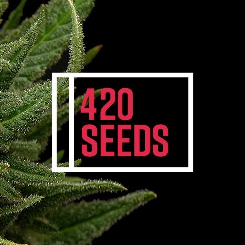 Supplying you with top quality F1 Marijuana seeds. Our 420 marijuana seeds are produced in Holland and come directly from the world famous Dutch producers.