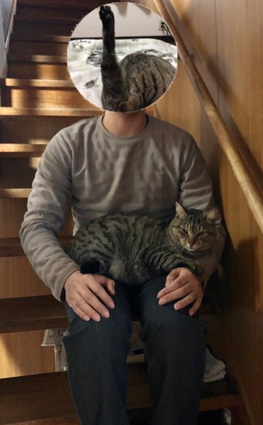 Meow_s6mjk's profile picture. 