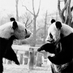 Zoo Walks Through History (@zoohistories) Twitter profile photo Zoo Walks Through History (@zoohistories) Twitter profile photo