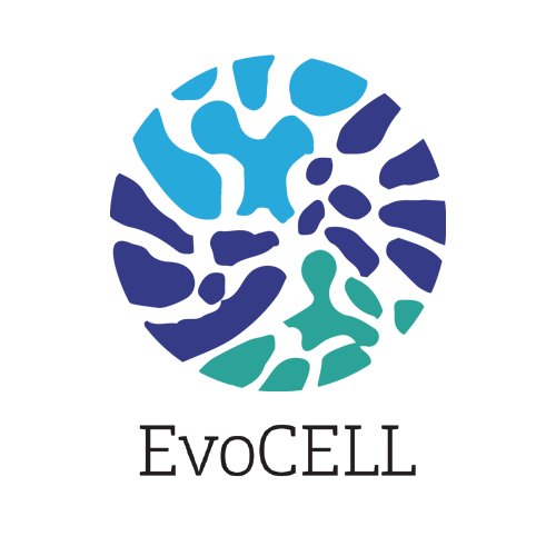 EvoCELL is a Marie Sklodovska Curie Network on animal evolution from a cell type perspective. Follow us!