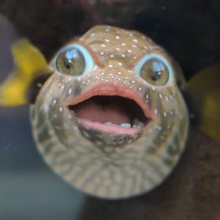 amystjvi's profile picture. Artist, Pirate, Proud Virgin Islander,