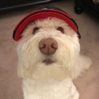 Toby Carnes (@tobycarnes) 's Twitter Profile