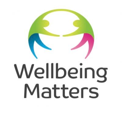 Wellbeing Matters: a VCSE-led population health programme using person & community-centred approaches to achieve change... @SalfordCVS @Salford3SC @salfordSV