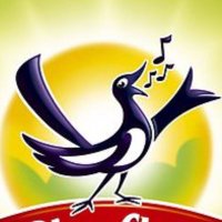 Zwiki🍀♦️🇪🇺🇺🇦 (@zwiki78) 's Twitter Profile Photo Zwiki🍀♦️🇪🇺🇺🇦 (@zwiki78) 's Twitter Profile Photo