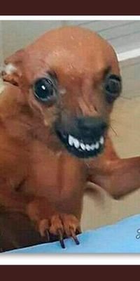 quiero sacar mi puteria pero un chongo me lo impide.....
cuenta secundaria