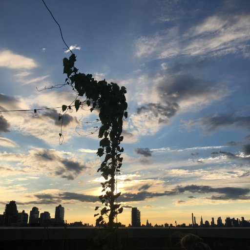 shopdelia1's profile picture. 