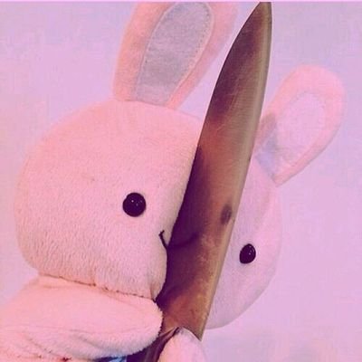 얌찌さんのプロフィール画像