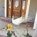 Uriel Bernal - @UrielBernal6 - Twitter