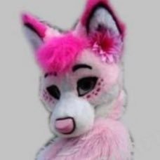 I’m an e-furry. I know furry fandom and I love dressing like an e-girl get over it. my real name is Taylor by the way