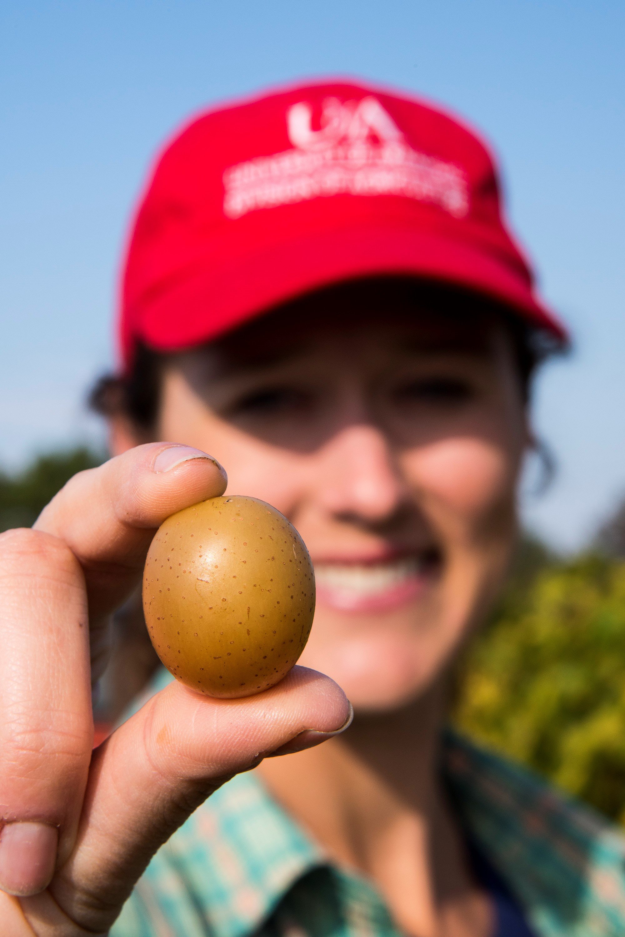 University of Arkansas fruit breeder and geneticist. Breeding tasty peaches, muscadines, and blackberries for the people of Arkansas and beyond!