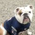 Dozer The Bulldog (@bulldog_dozer) Twitter profile photo Dozer The Bulldog (@bulldog_dozer) Twitter profile photo