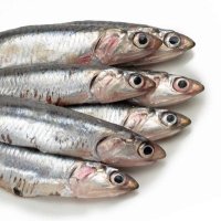 Marc Zeaser (F3 Anchovy) (@mzeaser) 's Twitter Profile