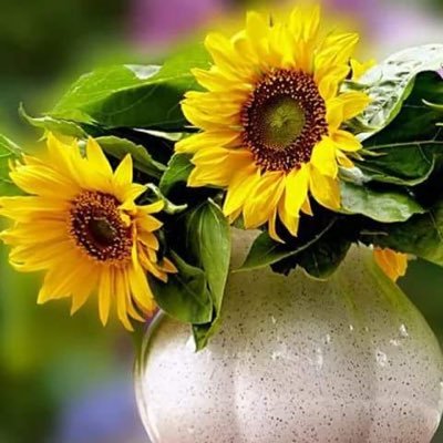 1945Rosamaria's profile picture. 