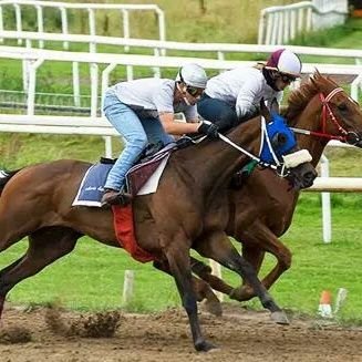 Jockey, Argentina living in Norway 🇦🇷🇳🇴