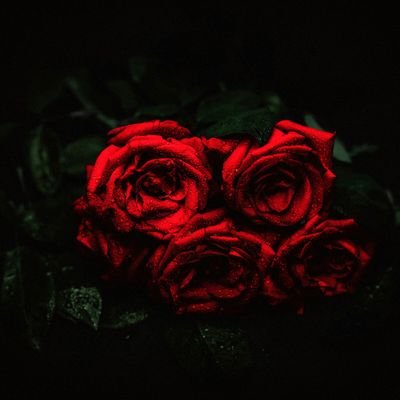 RaghavaSree2's profile picture. Student