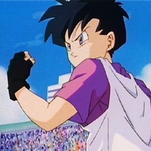 Hi! I'm Videl! Daughter of World Martial Arts Champ, Mr. Satan! I fight crime, don't get in my way or you'll get punched! [#RolePlay/Parody]