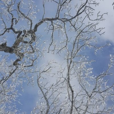 kyw4311's profile picture. 