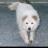 ryu1107's profile image