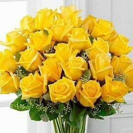 almtyry636's profile picture. ‏‏‏‏‏‏‏‏‏‏‏‏‏‏حسب النفسيه.
احيانا اطقطق على الطالع والنازل.
واحيانا اكون حلال مشاكل الكره الارضيه.
تقبلني هيك وهيك والا بالطقاق...