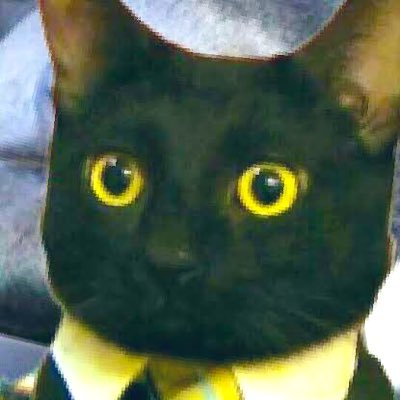 hola esta es la cuenta del miau miau 2 espero que les guste y denle amor para llegar a muchos segudores , bueno espero que les guste y adios