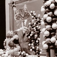 Linus Meow Pauling (@linusmeowpaulin) 's Twitter Profile