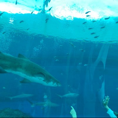 Eric94123979's profile picture. 