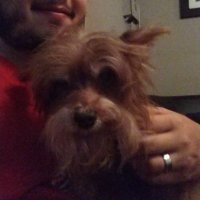 Francisco (@pakoloredo) 's Twitter Profile Photo