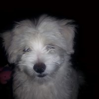 Larry W. Caudill (@larrywcaudill1) 's Twitter Profile