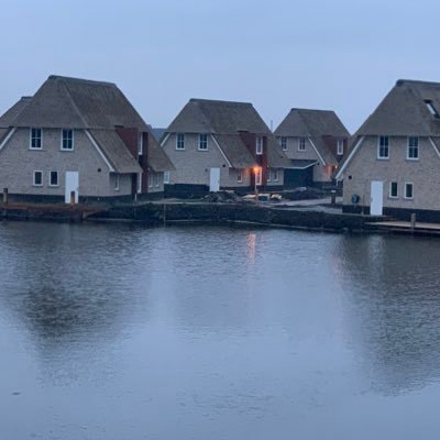 Biorm's profile picture. 