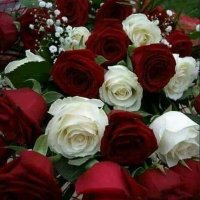 JEANNE HAMILTON (@hegotup3) 's Twitter Profile