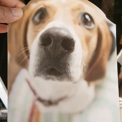 PPhairin's profile picture. 