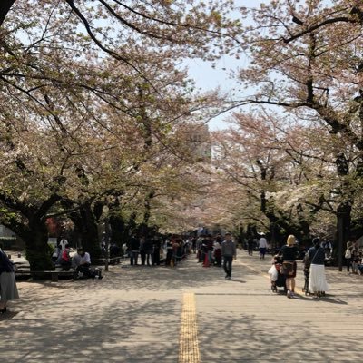 東京科学大学卓球部(旧東京工業大学)の公式アカウントです!東京科学大学卓球部では男女問わず新入部員を募集しています!女子部(@titechttc_girls)もよろしくお願いします!興味のある方はお気軽にお声がけ下さい!練習試合募集中です!!! #春から東工大