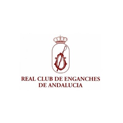 EnganchesAND's profile picture. Club instituido en 1984 que fomenta la promoción del uso del coche de caballo en sus diferentes modalidades.🏇 #Enganches #carruajes